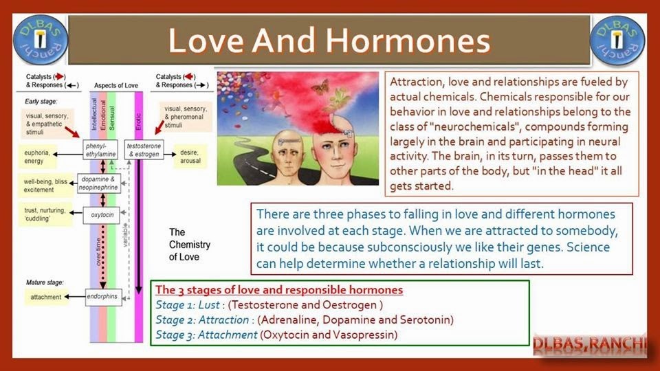 Acupressure & Natural Therapy Love Chemicals