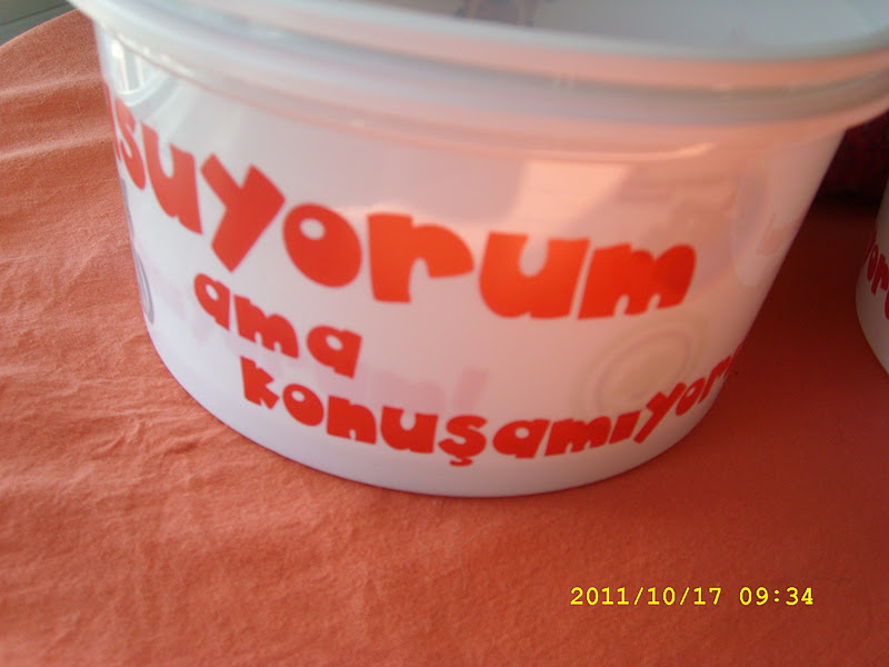Begonvilli Ev: Ekim 2011