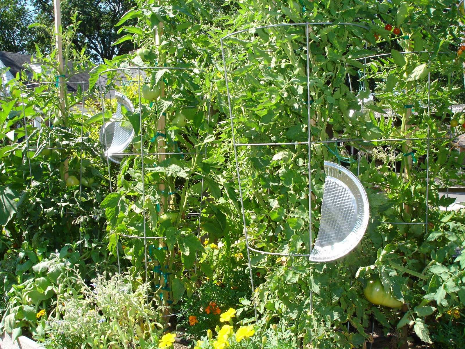 Presidential Living Pie Pans