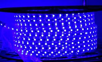 LED防水軟燈條(藍光) 110V