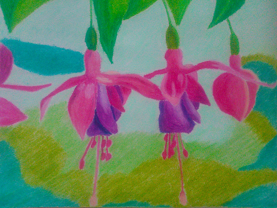 Fuchsia Oil Pastel Drawing