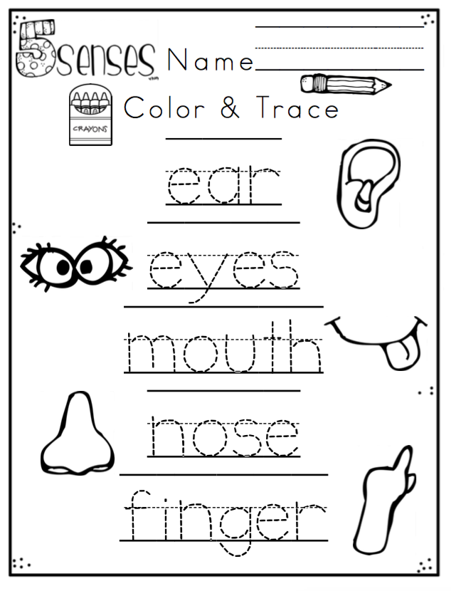 5 Senses Worksheets For Kindergarten