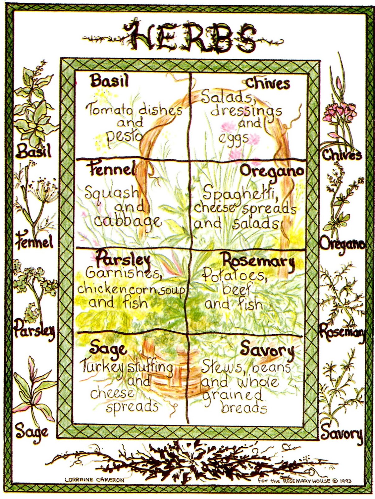 Rosemary's Sampler: Basic Herbs Chart