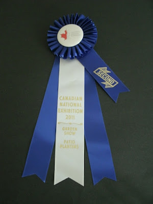 Second prize ribbon Canadian National Exhibition 2011 patio planter competition by garden muses: a Toronto gardening blog