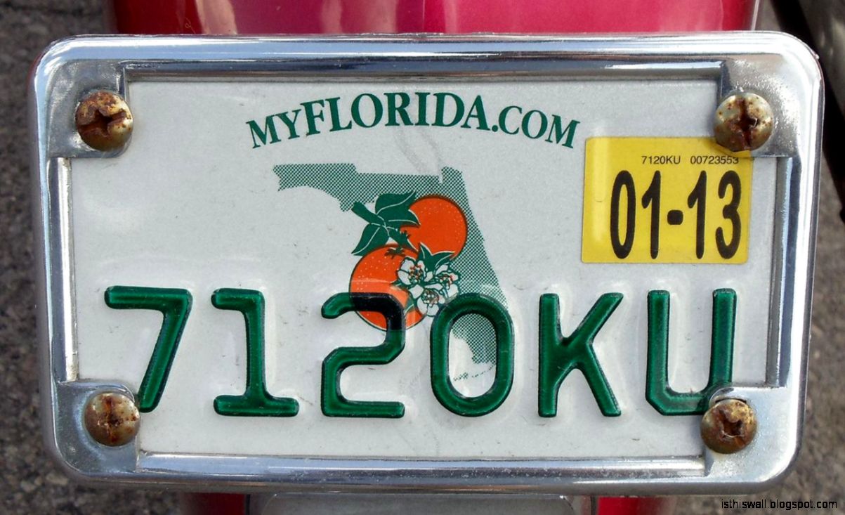 Florida Motorcycle License This Wallpapers