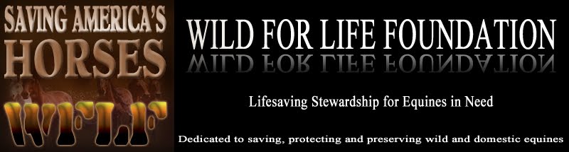 Wild for Life Foundation
