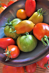 state paradox weeks program plant three tomatoes csa heirloom agriculture buffalo support york community summer