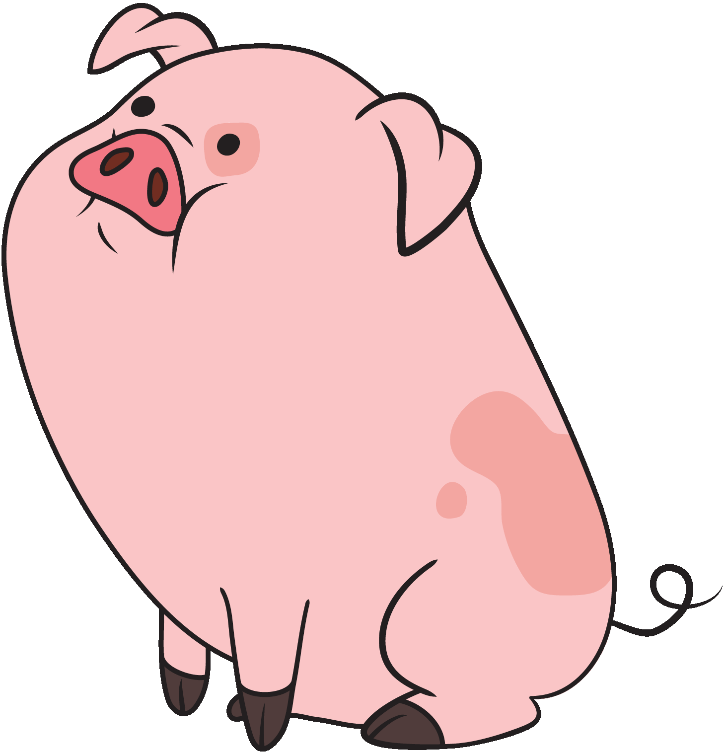 Bear Gif Cuteua Farmingdale Movies - gs90fj4