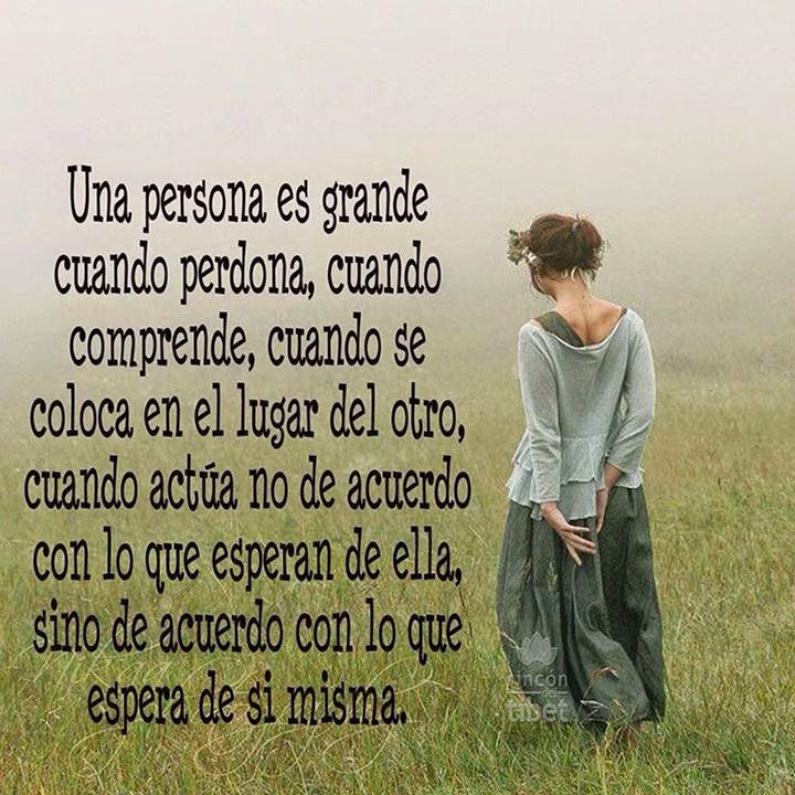 Resultado de imagen para screenshot