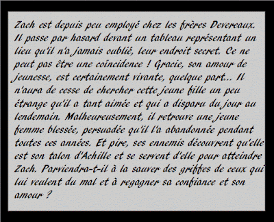 Slow burn, tome Enfin réunis Maya Banks