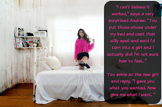 Boglin's 118th Attempt at a Web Presence...: MiniSeries: The Deal