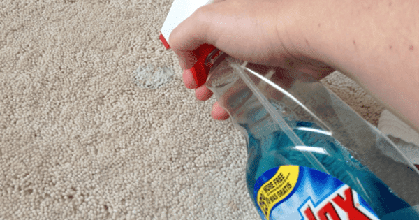 specialist carpet stain removal