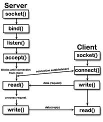 Socket Programs in C: TCP UDP Client Server Communication Diagram