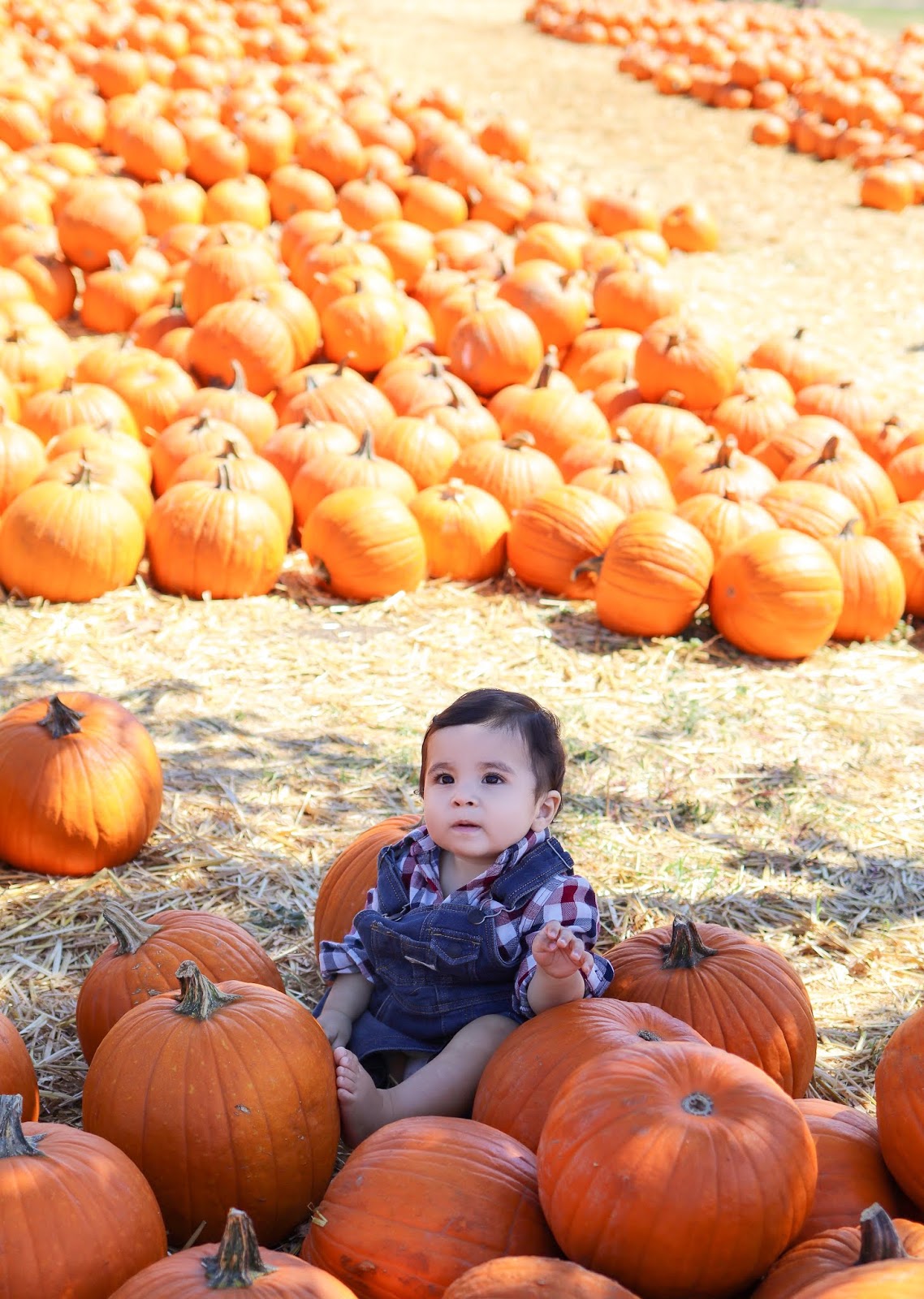 Baby pictures at the pumpkin patch Baby pictures at the pumpkin patch