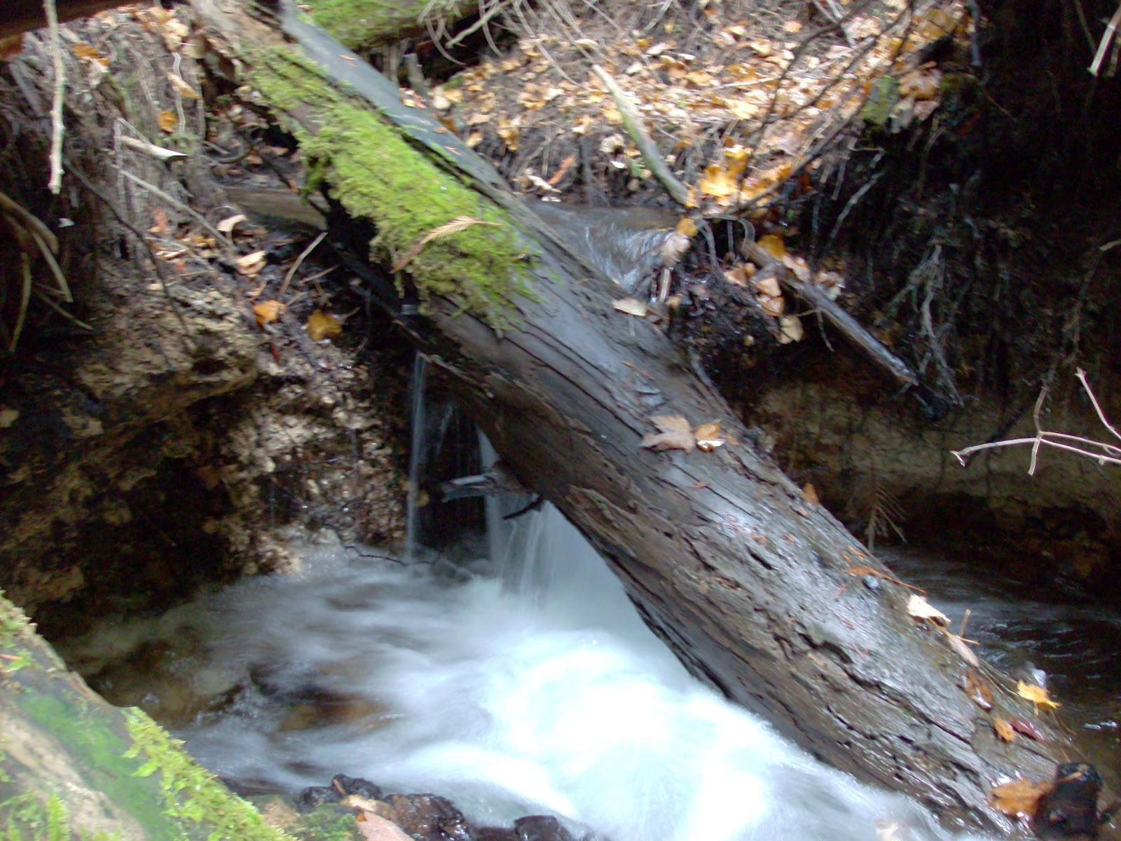 Home with three creeks for sale! Photo's of house and land