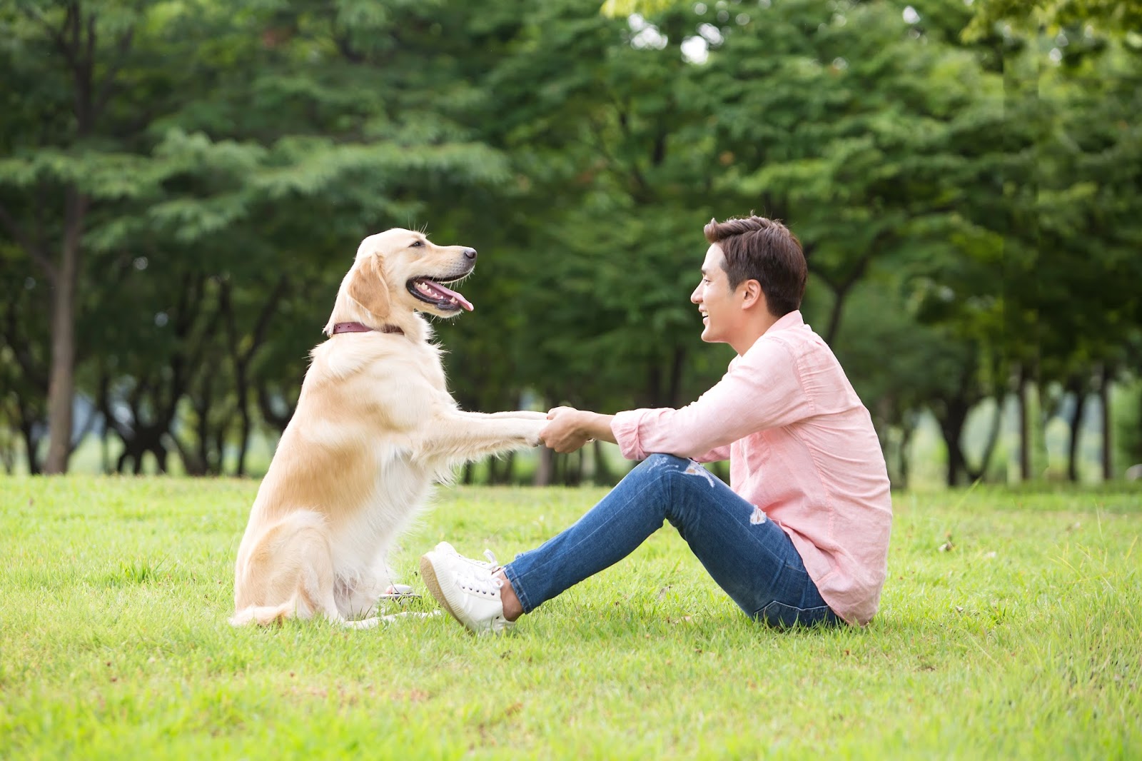 Touch Daegu Companion animal registration procedure Mandatory companion animal tag! Prevent