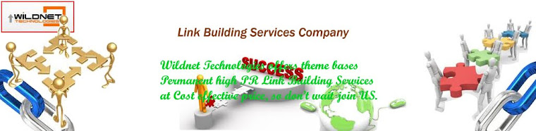Link Building India
