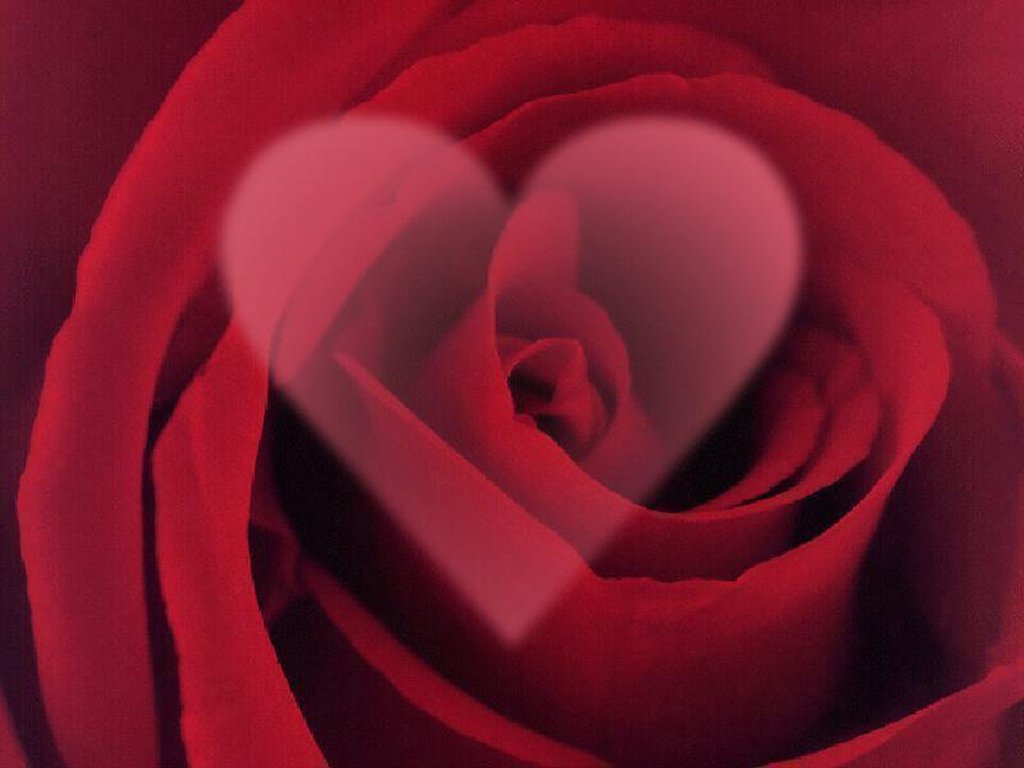 Gambar Dp BBM Bergerak Valentine Day Romantis 2016 Ucapan