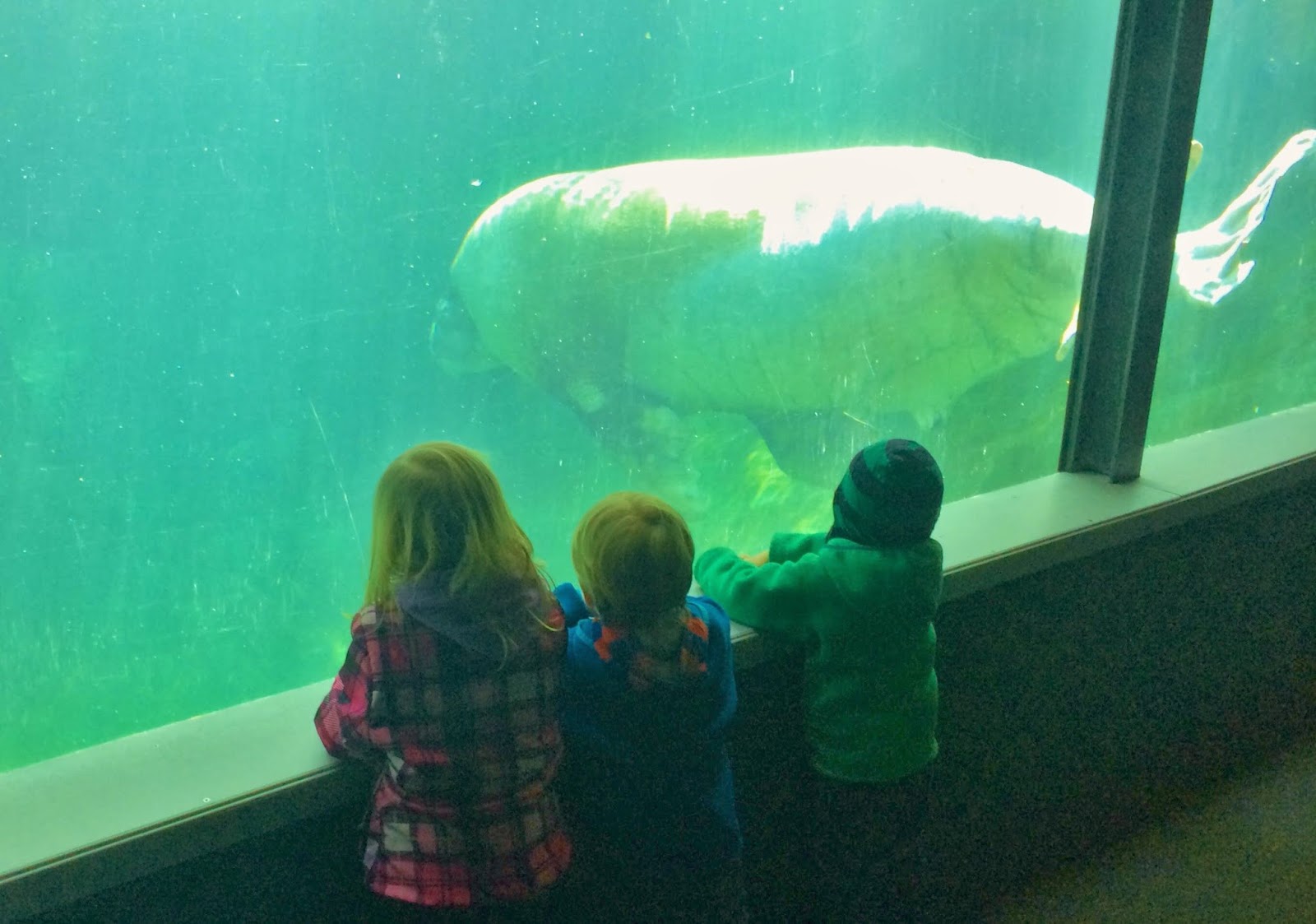Handsaker Family Blog Point Defiance Zoo