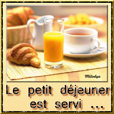 Afficher l�image source