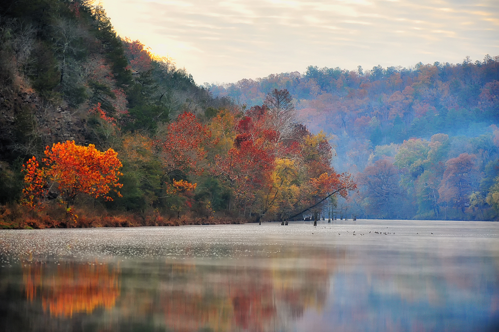 Shutterbugs Capturing the World Around Us Beavers Bend State Park.