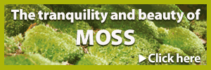 Moss Acres