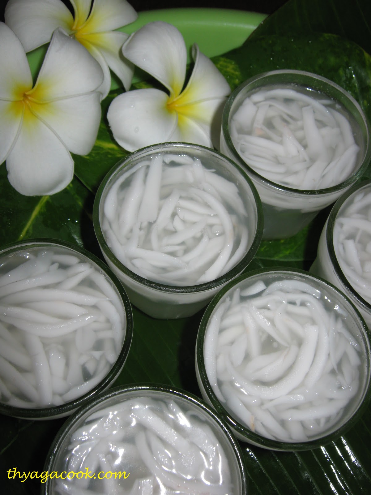 KARI LEAFS Malaysian flavour's COCONUT WATER JELLY