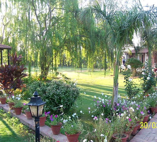 Whispering Willows - Whispering Willows Pics Zirakpur Chandigarh Photo Gallery