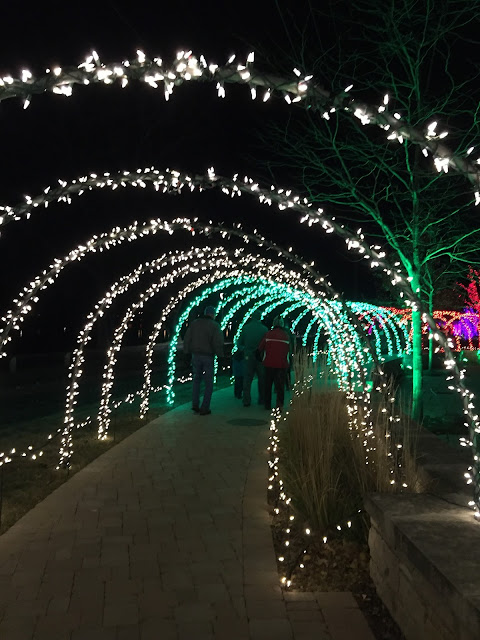 Following the lighted path at All Aglow at Nicholas Conservatory