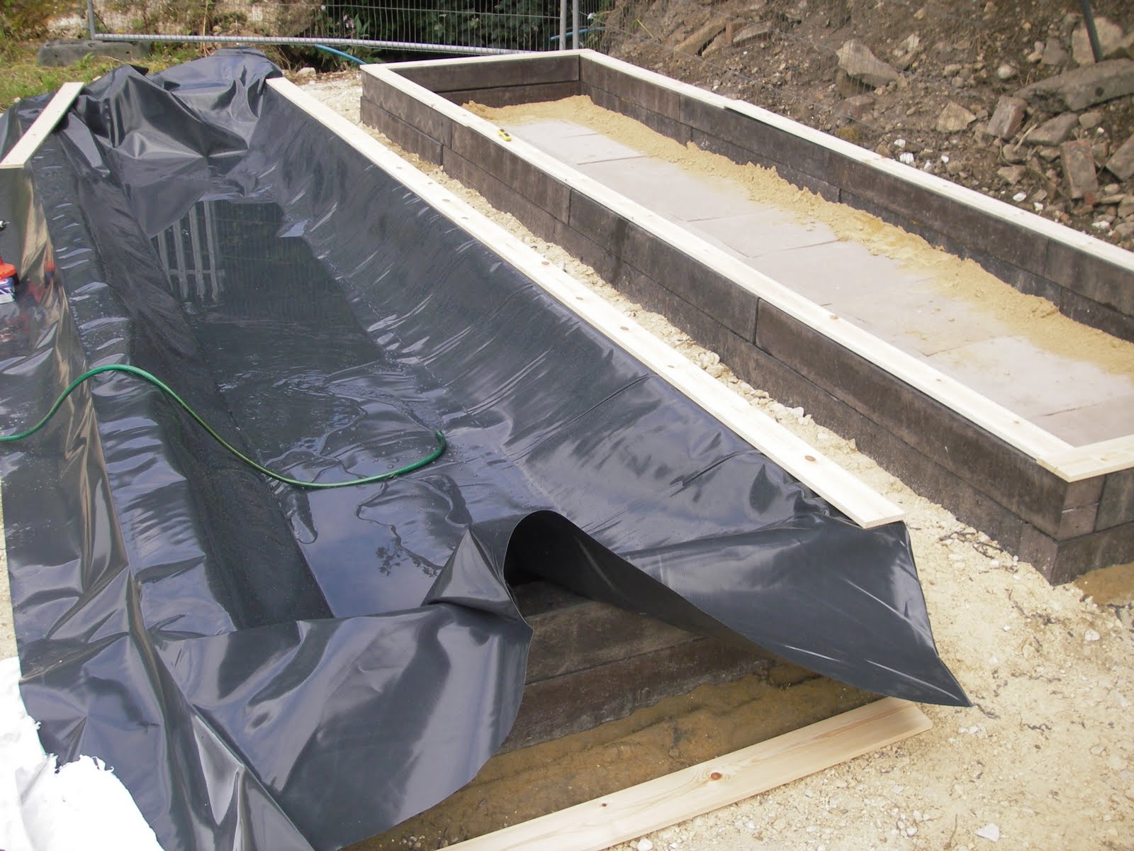 ABLE Kirklees ABLE Kirklees grows its own aquatic plants