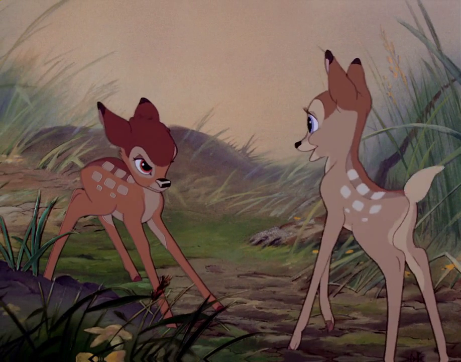 Bambi knepper