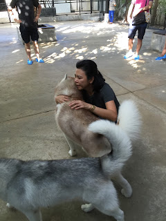 lady hugging dog husky