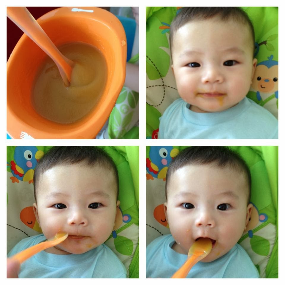 We were all made beautifully: Making Baby Food for first stage & 6