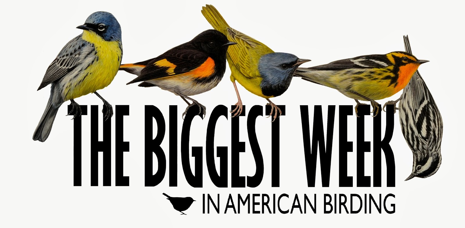 Society of Animal Artists Darin Miller Designs Logo for the Black