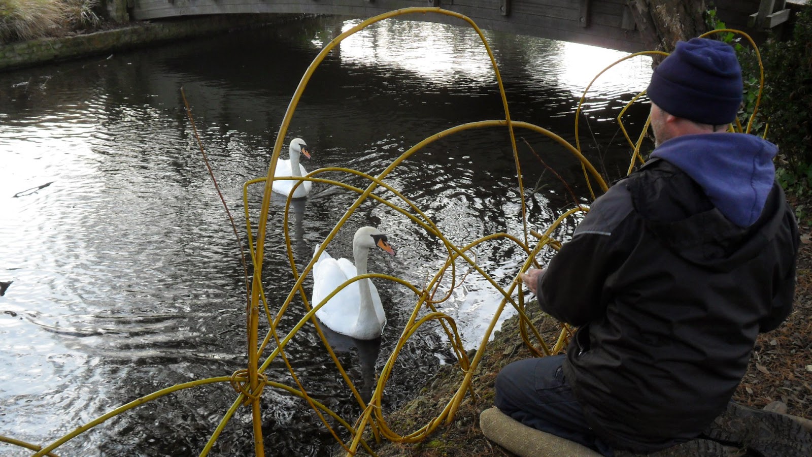 Worcester College Gardeners 2009-2018: Willow Weaving A Goose Proof ...