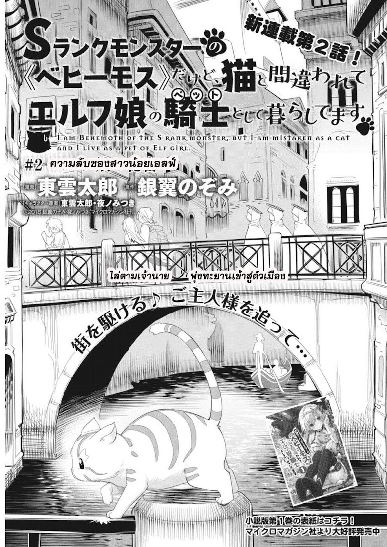 S-Rank Monster no 《Behemoth》 Dakedo, Neko to Machigawarete Erufu Musume no Kishi(Pet) Toshite Kurashitemasu - หน้า 1