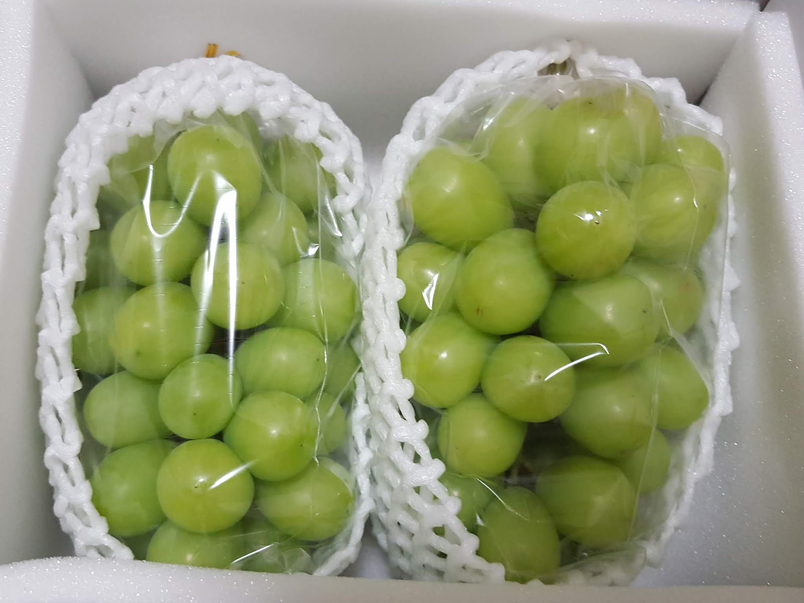 Tokyo food journey: Furusato Nozei 