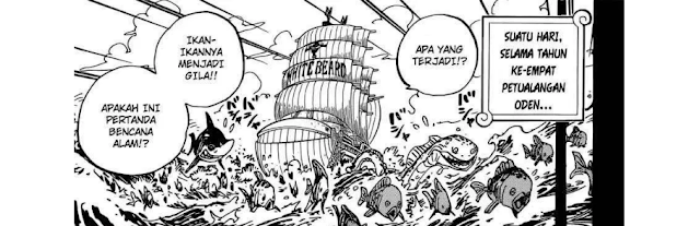 Spoiler Manga One Piece 966 - Shiroige vs Roger