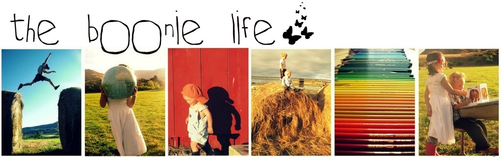 I changed my blog's address to theboonielife.blogspot.com.  Come on over!