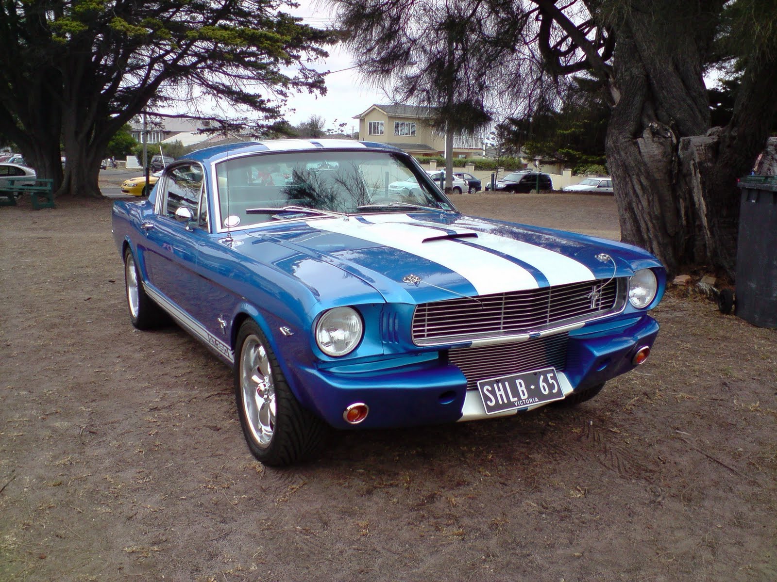 American Muscle Cars 114