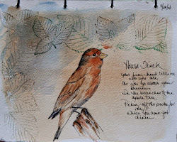 watercolor birds painting