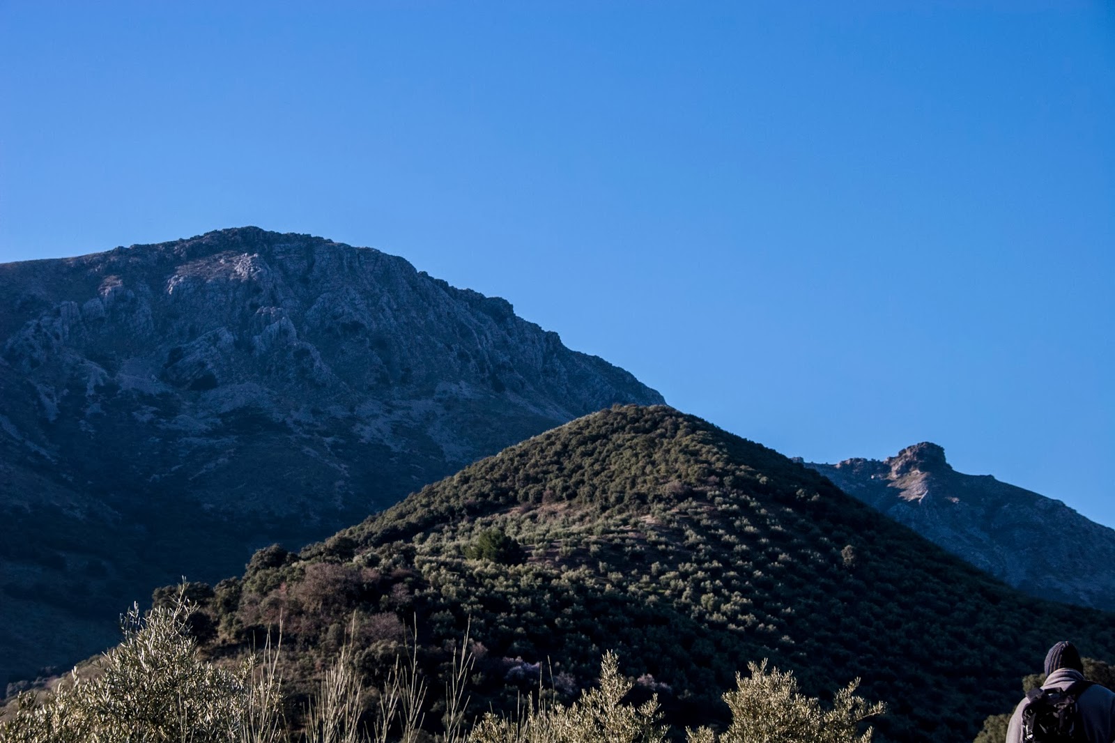 Locandares. Amigos del Senderismo.: ASCENSIÓN AL PICO LA TIÑOSA (1568 m ...