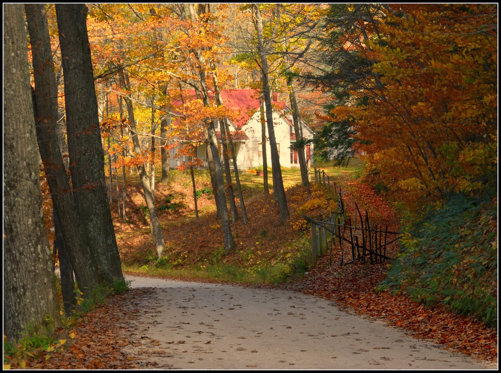 Appetite For Photos Plymouth, VT