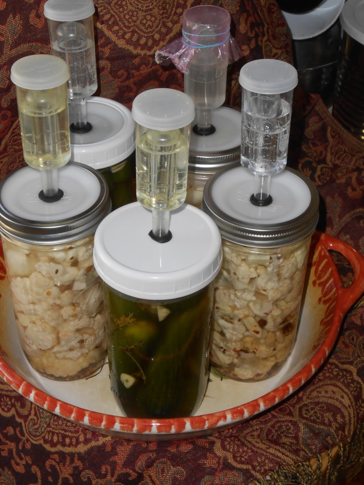 Fermenting in Utah New Size Jars for Fermented "Pickles"