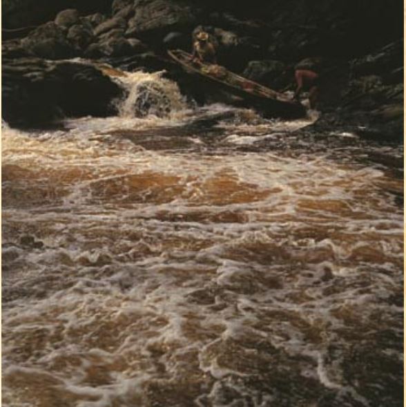 El río y la selva les suministran a los makuna todo lo que
necesitan para vivir: alimento, materiales, armas y herramientas.
