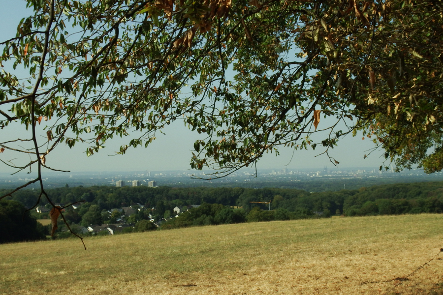 Burgerportal Bergisch Gladbach Nachrichten Hintergrunde Termine