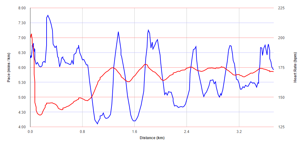 my happy run: My first two Interval Trainings
