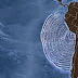 Una animación muestra el tsunami causado tras el terremoto en Chile y Perú