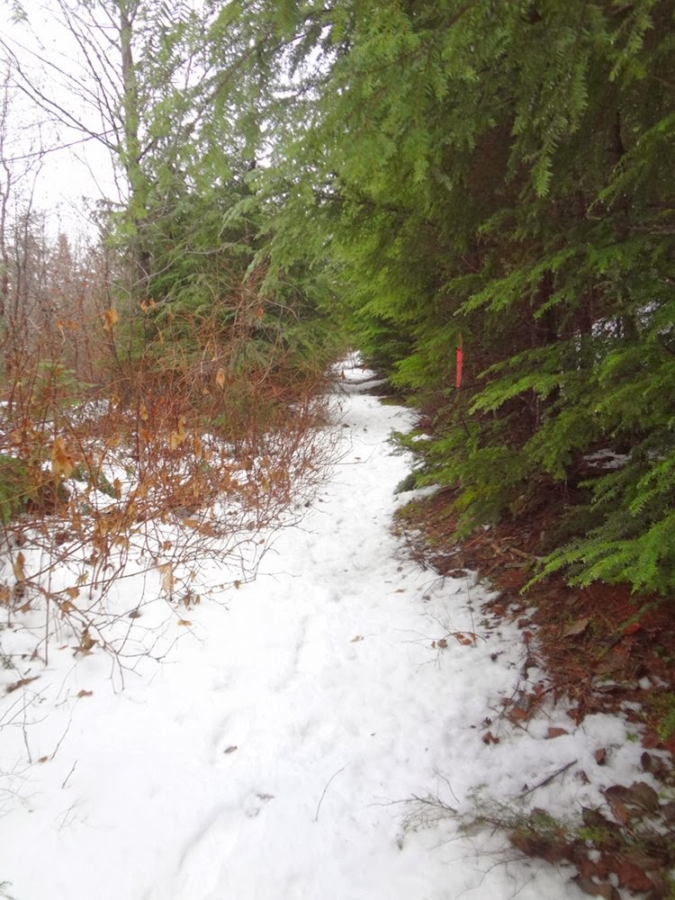 Trail towards Brunswick Mountain