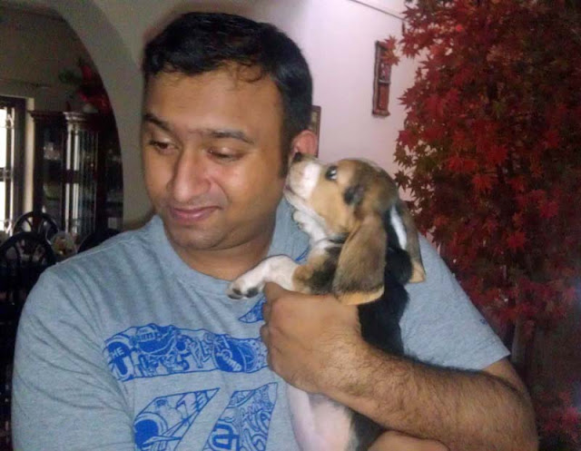 Fake Pet Dog Fake Pet Dog